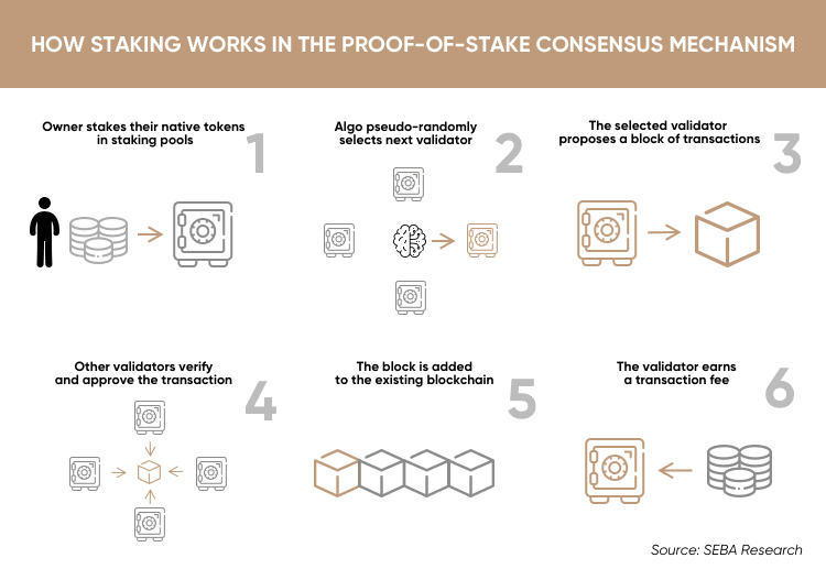 What is Staking in Crypto: A Complete Guide by WEEX Exchange