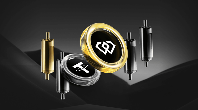 What is World Cup Speed (WCSPEED) Coin? Is WCSPEED Legit or Scam?