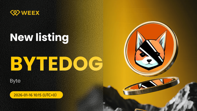 BYTEDOG USDT 现已在 WEEX 现货交易平台上可用：交易 Byte Coin