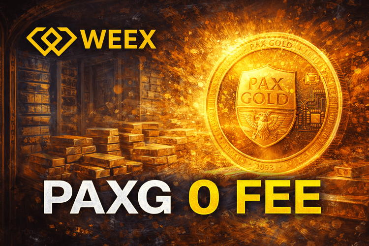 PAXG &amp; WEEX 零费率黄金合约：PAXG 实盘交易指南（2026年版）