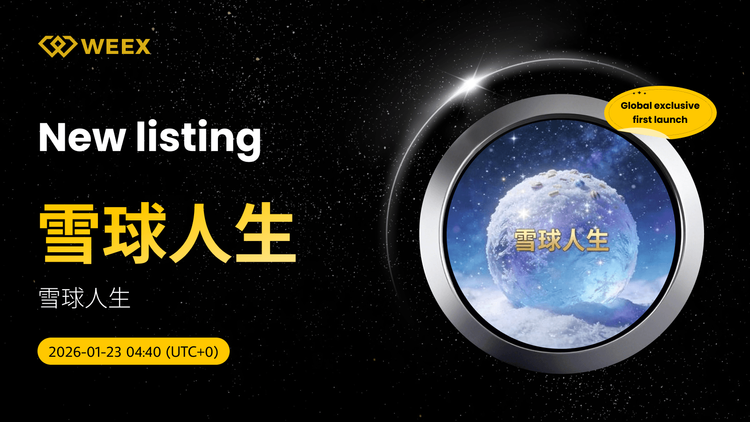 全球首发：在 WEEX 交易 雪球人生 USDT