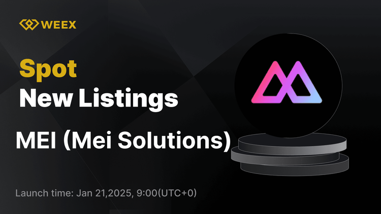 شركة Mei Solutions (MEI) مدرجة في بورصة WEEX Spot