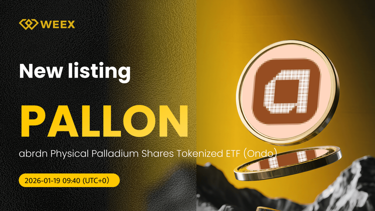 PALLON USDT 实时交易：在 WEEX 现货交易平台购买 PALLON Coin