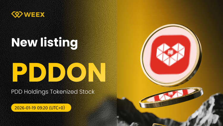 PDDON USDT 现已上线：PDD Holdings 代币化股票在 WEEX 现货交易