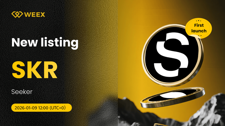 SKR USDT 现在可用： 在WEEX现货上市的探索者硬币