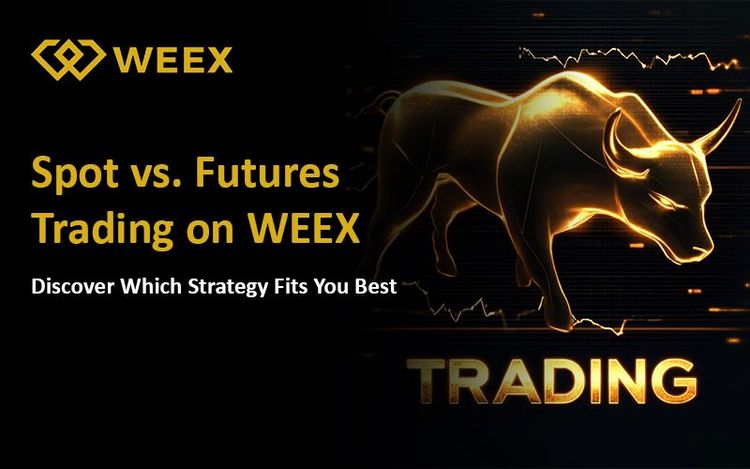 The Difference Between Spot and Futures Trading on WEEX: Which Is Right for You?